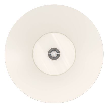 Eglo - Kattovalo 1xE27/40W/230V