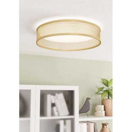 Eglo - LED-kattovalaisin LED/20W/230V kulta