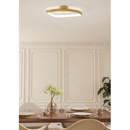 Eglo - Himmennettävä LED-kattovalaisin LED/25,2W/230V