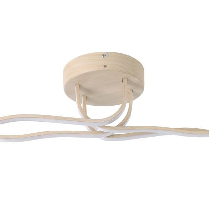Eglo - LED kattovalaisin LED/37W/230V ruskea
