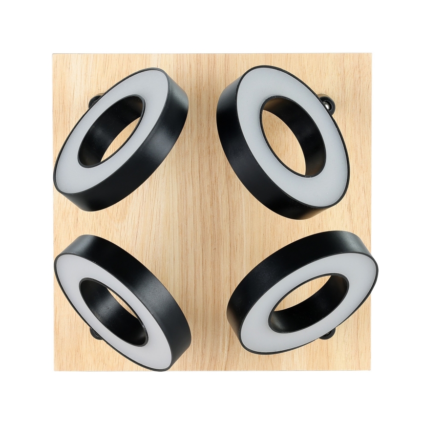 Eglo - LED-kohdevalaisin 4xLED/4,2W/230V musta/ruskea