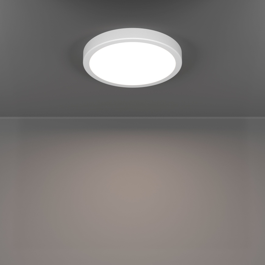 Eglo - LED-kattovalaisin LED/11,5W/230V 2700/4000/6500K halkaisija 21,1 cm valkoinen
