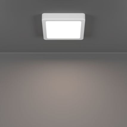 Eglo - LED-kattovalaisin LED/7W/230V 2700/4000/6500K 15x15 cm valkoinen