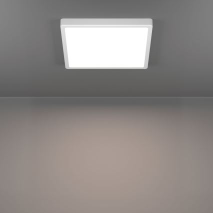 Eglo - LED-kattovalaisin LED/13W/230V 2700/4000/6500K 29x29 cm valkoinen