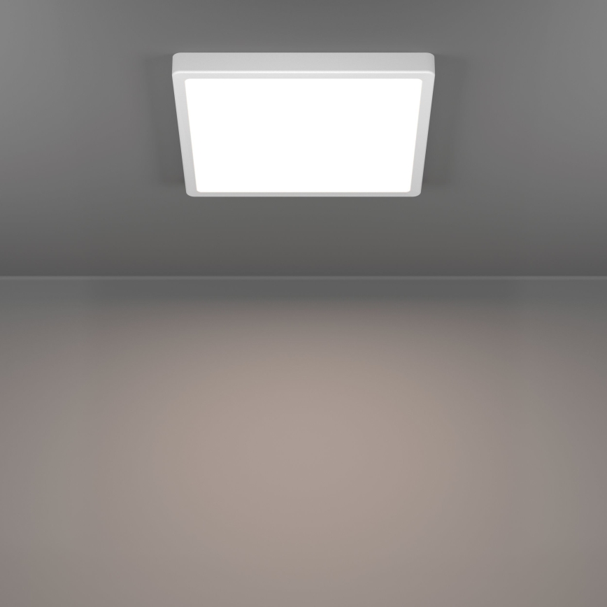 Eglo - LED-kattovalaisin LED/13W/230V 2700/4000/6500K 29x29 cm valkoinen