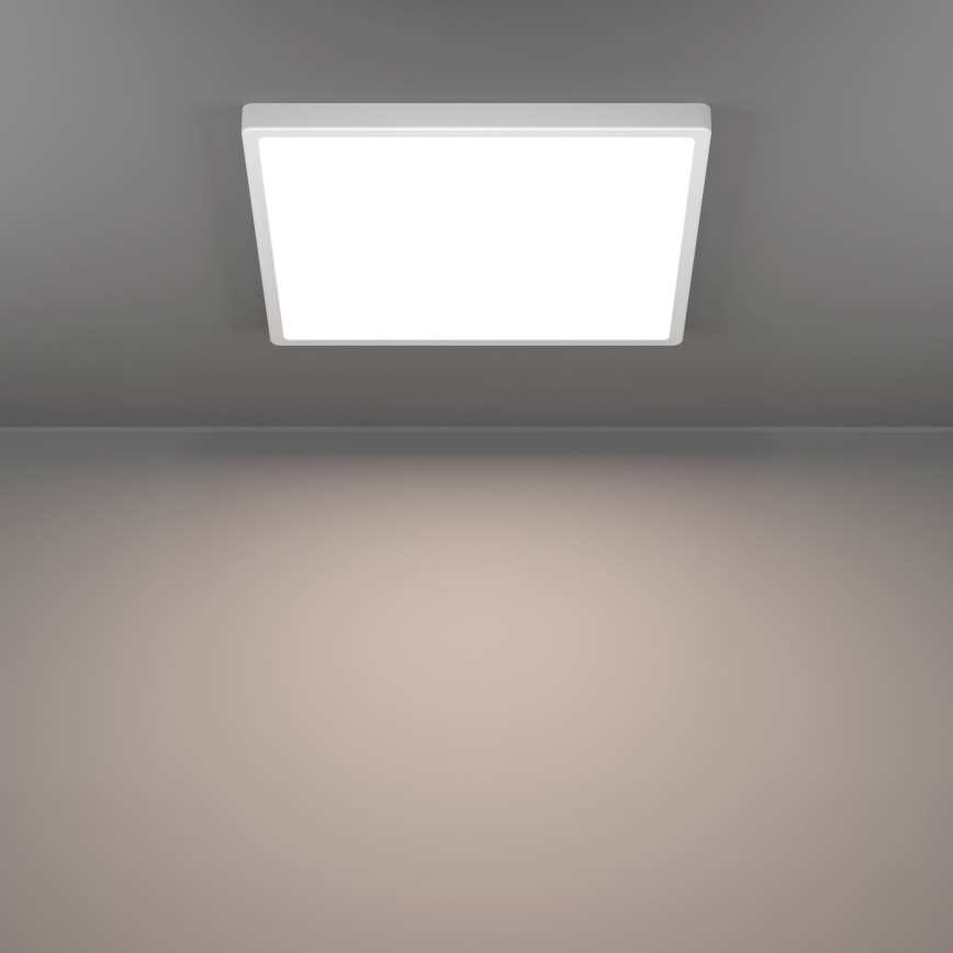 Eglo - LED kattovalaisin LED/17,5W/230V 2700/4000/6500K 39x39 cm valkoinen