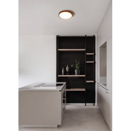 Eglo - LED-kylpyhuoneen kattovalaisin, 14,2 W, 230 V, 2700/4000/6500 K, halkaisija 27,8 cm, IP44, musta