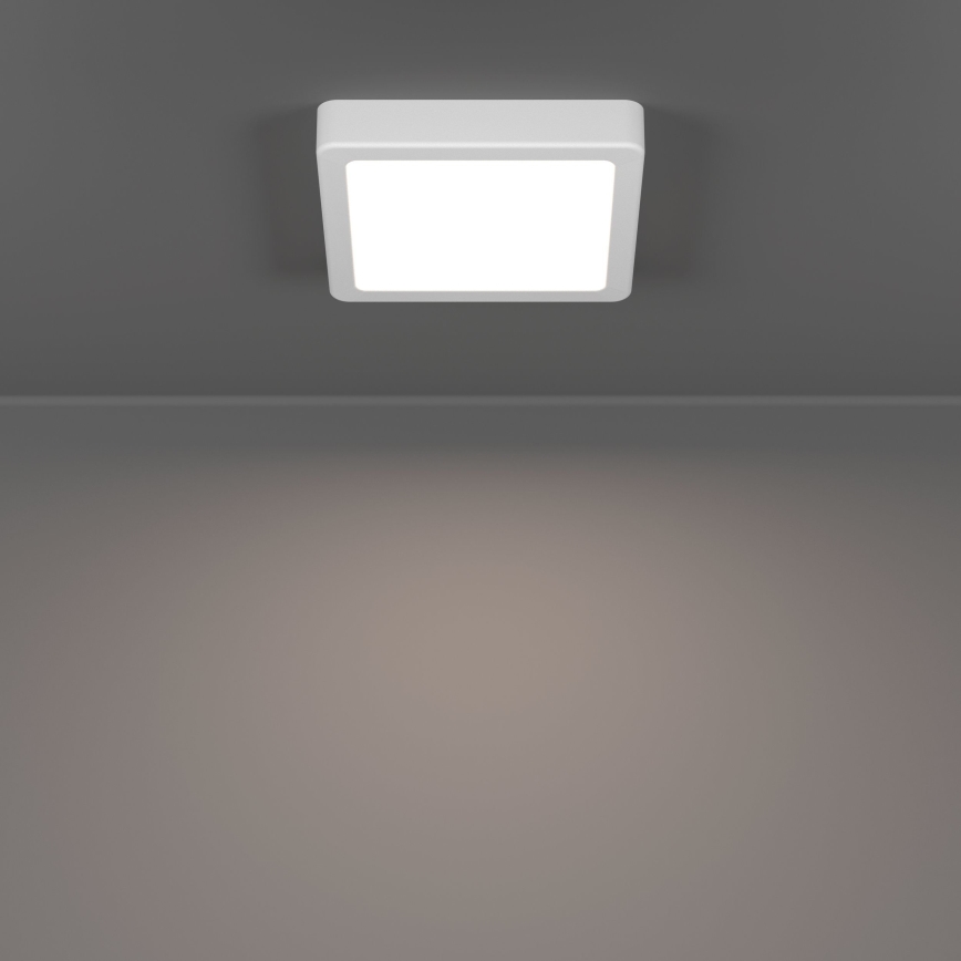 Eglo - LED-kattovalaisin kylpyhuoneeseen LED/7W/230V 15x15 cm IP44 valkoinen