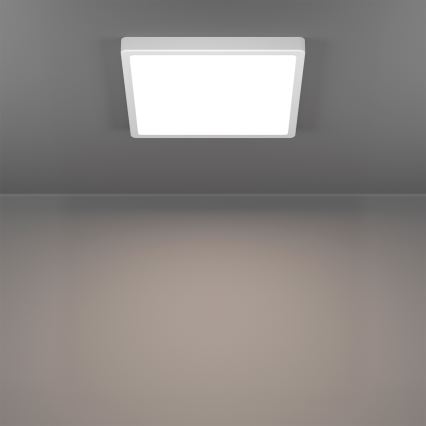 Eglo - LED RGBW himmennettävä kylpyhuoneen kattovalaisin LED/13,5W/230V 2700-6500K 29,5x29,5 cm IP44 valkoinen
