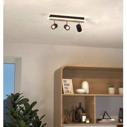 Eglo - LED-kohdevalaisin LED/20W/230V ruskea/musta