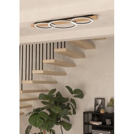 Eglo - LED-kattovalaisin 3xLED/12W/230V 3000K beige/musta