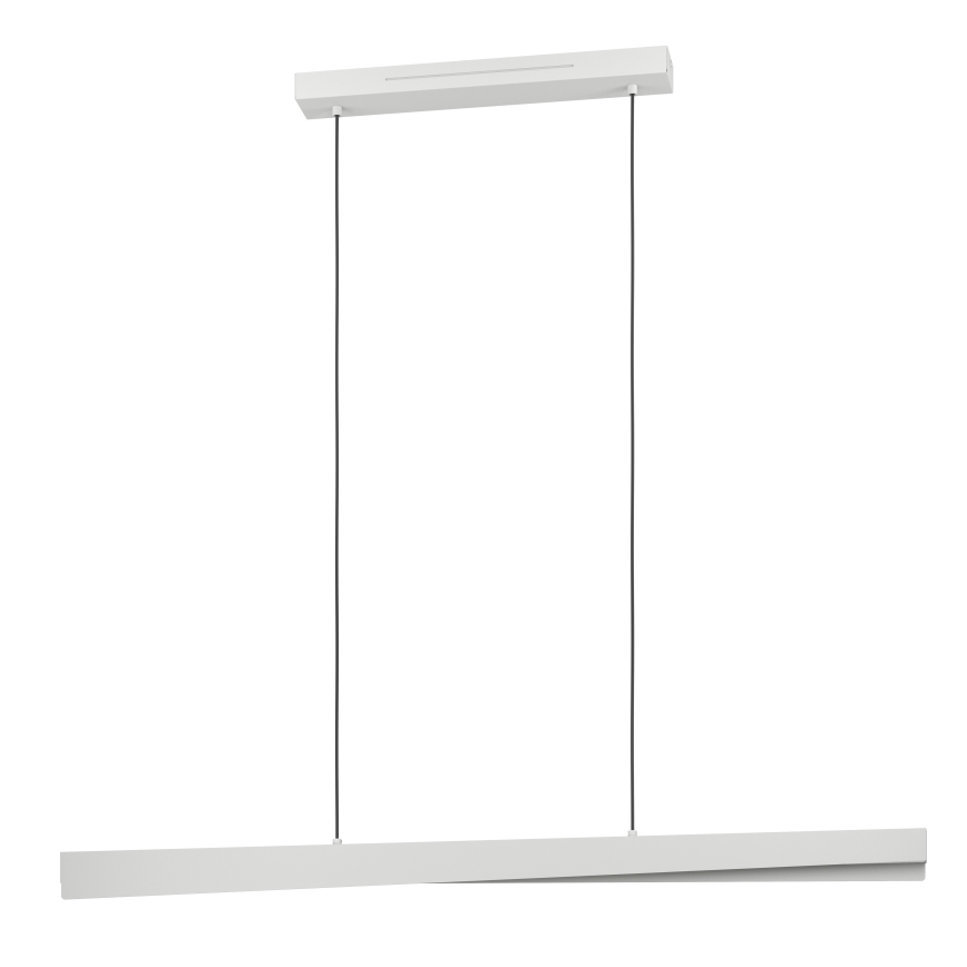 Eglo - LED RGBW himmennettävä riippuvalaisin vaijerilla LED/19W/230V 2700-6500K harmaa