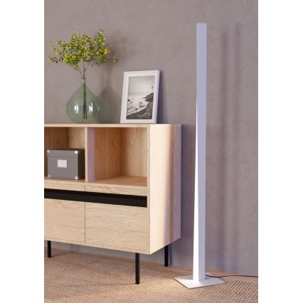 Eglo - LED RGBW himmennettävä lattiavalaisin LED/10,5W/230V + LED/15,2W harmaa