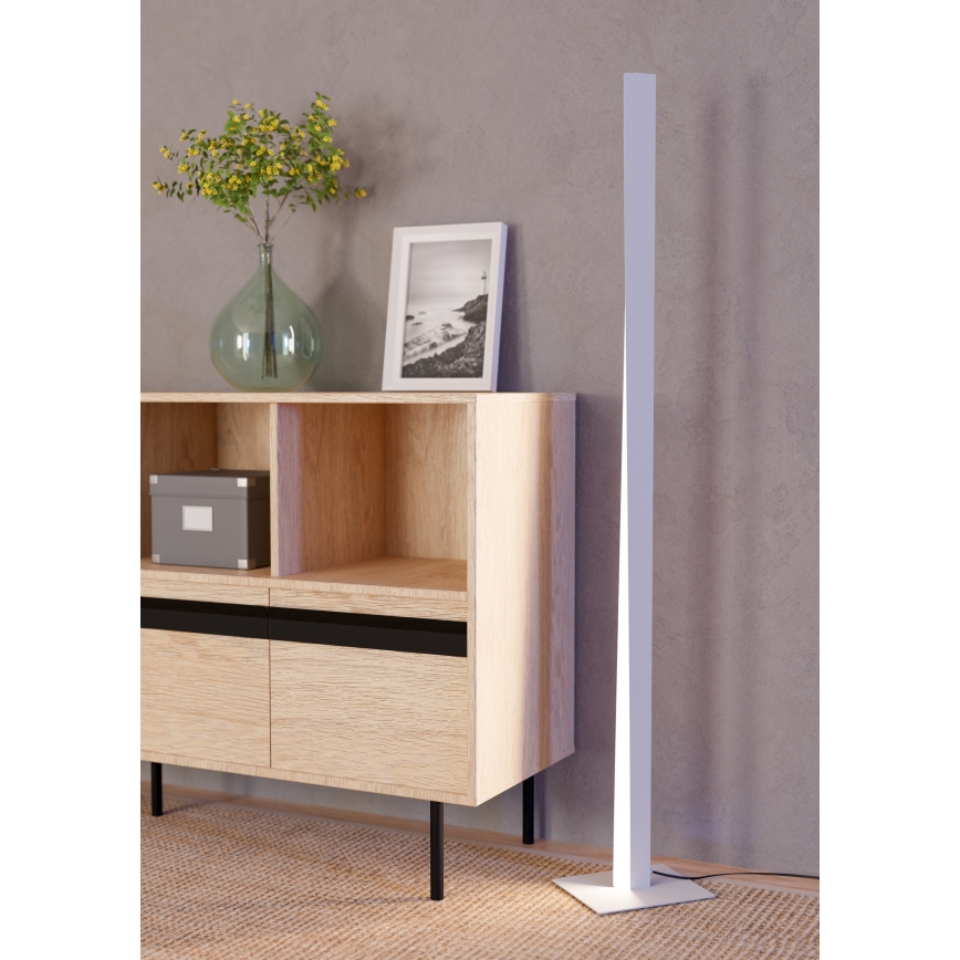 Eglo - LED RGBW himmennettävä lattiavalaisin LED/10,5W/230V + LED/15,2W harmaa