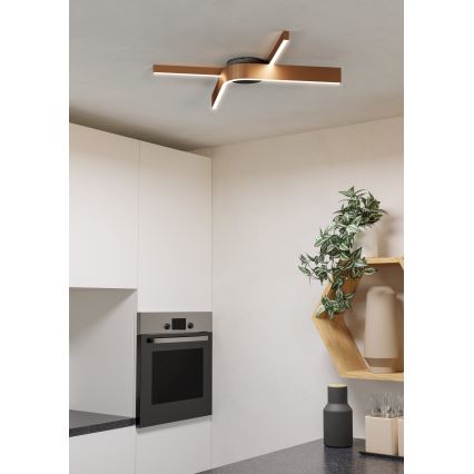 Eglo - LED RGBW himmennettävä kattovalaisin 2xLED/18W/230V kupari/musta