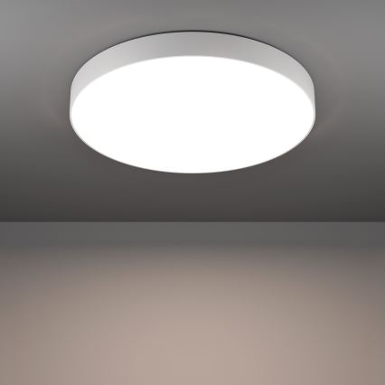 Eglo - LED RGBW himmennettävä kattovalaisin LED/36,5W/230V 2700-6500K Ø69 cm valkoinen
