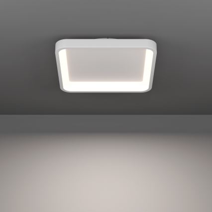 Eglo - LED RGBW himmennettävä kattovalaisin LED/20W/230V 2700-6500K 35x35 cm valkoinen