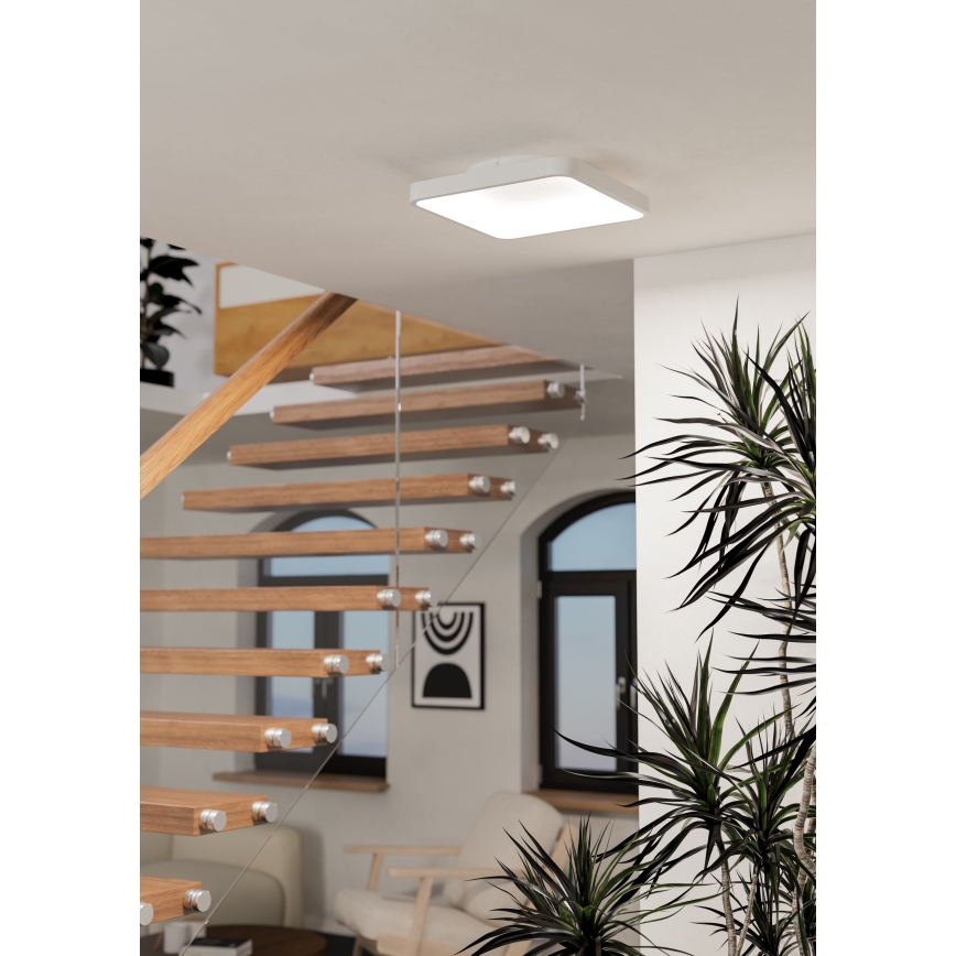 Eglo - LED RGBW himmennettävä kattovalaisin LED/20W/230V 2700-6500K 35x35 cm valkoinen