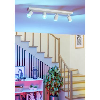 Eglo - LED RGBW himmennettävä kohdevalaisin 4xLED/3,7W/230V 2700–6500K valkoinen