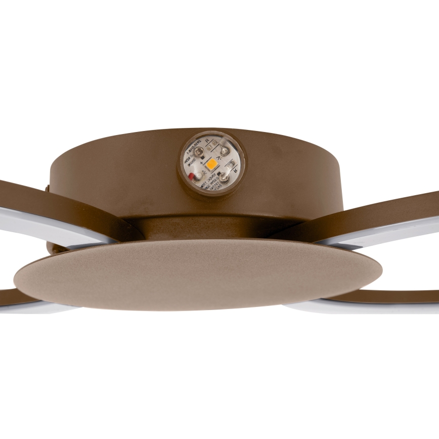 Eglo - LED-seinävalaisin LED/20W/230V + LED/0,91W beige