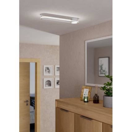 Eglo - LED-kattovalaisin LED/24W/230V 2700/4000/6500K valkoinen