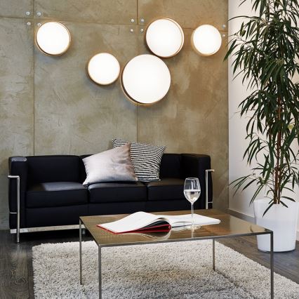 Eglo - LED-kattovalaisin LED/12W/230V