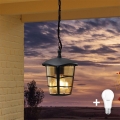 Eglo 93406 - LED-ulkoriippuvalaisin ALORIA 1xE27/8,5W/230V IP44