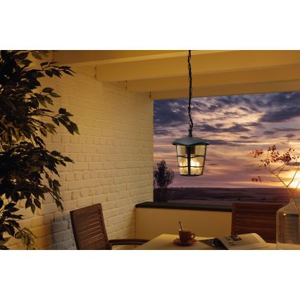 Eglo 93406 - LED-ulkoriippuvalaisin ALORIA 1xE27/8,5W/230V IP44