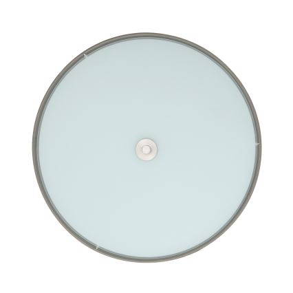 Eglo - Kattovalaisin 3xE27/25W/230V