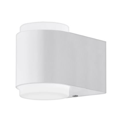 Eglo 95077 - Ulkoseinävalaisin BRIONES 2xLED/3W/230V IP44