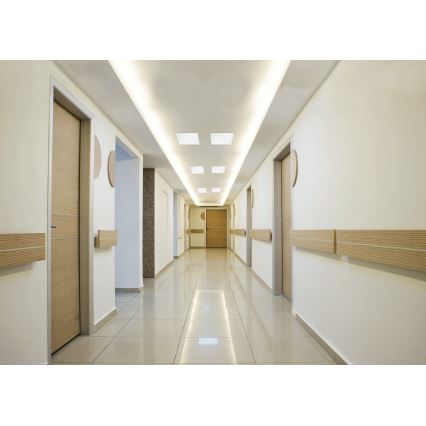 Eglo 96152 - LED-kattopaneeli SALOBRENA LED/16W/230V