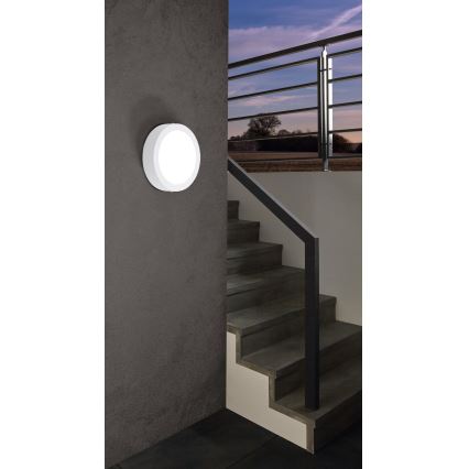 Eglo 96491 - LED-ulkokattovalaisin ARGOLIS LED/16,5W/230V IP44
