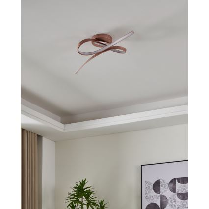 Eglo 97361 - LED-kattokruunu PALOZZA 2xLED/11W/230V