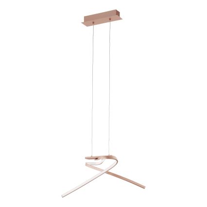 Eglo 97362 - LED-kattokruunu narussa PALOZZA 2xLED/11W/230V