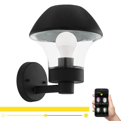 Eglo 97446 - LED Himmennettävä ulkoseinävalaisin VERLUCCA-C 1xE27/9W/230V IP44 Bluetooth