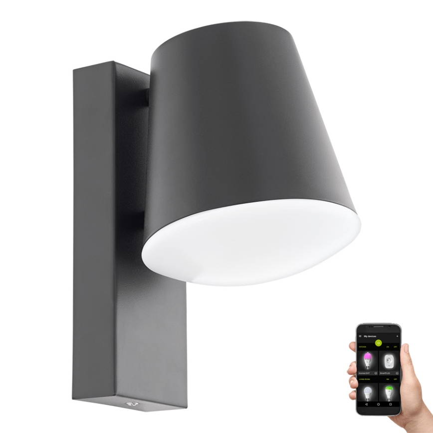 Eglo 97482 - LED-himmennettävä ulkoseinävalaisin CALDIERO-C 1xE27/9W/230V IP44