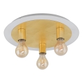 Eglo 97492 - LED-kattovalaisin PASSANO 3xE27/4W/230V kullanvärinen