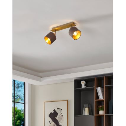 Eglo 97537 - Kohdevalo VALBIANO 2xE14/10W/230V