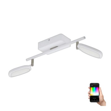 Eglo 97692 - LED RGB-kohdevalaisin PALOMBARE-C 2xLED/5W/230V