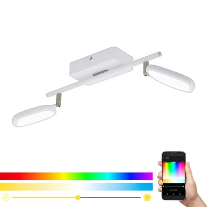 Eglo 97692 - LED RGB-kohdevalaisin PALOMBARE-C 2xLED/5W/230V