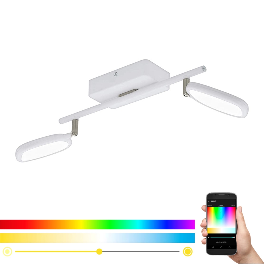 Eglo 97692 - LED RGB-kohdevalaisin PALOMBARE-C 2xLED/5W/230V