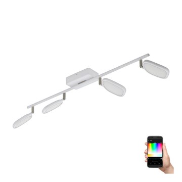 Eglo 97694 - LED RGB Kohdevalaisin PALOMBARE-C 4xLED/5W/230V
