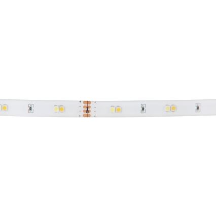 Eglo - RGB LED himmennettävä LED-nauha 10W 230V IP20 2m