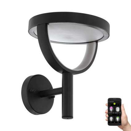 Eglo 98234 - LED-ulkoseinävalaisin FRANCARI-C LED/15W/230V IP44
