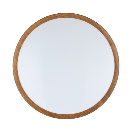 Eglo - LED-kattovalaisin LED/14,6W/230V