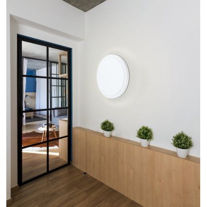 Eglo 98656 - LED-kattovalaisin MONGODIO 1 LED/8,6W/230V