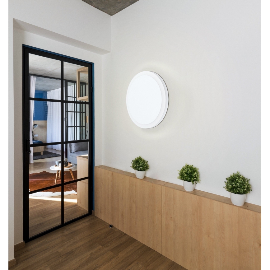 Eglo 98656 - LED-kattovalaisin MONGODIO 1 LED/8,6W/230V