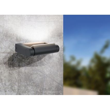 Eglo 98707 - LED-ulkoseinävalaisin BRIANZA LED/4,8W/230V IP44