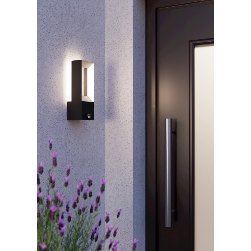 Eglo - LED-ulkovalaisin anturilla 2xLED / 5W / 230V IP44