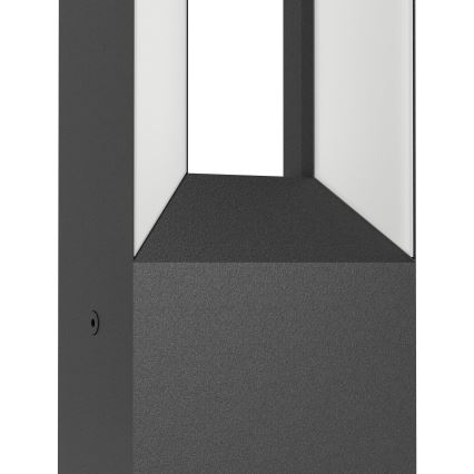 Eglo - LED-ulkovalaisin 2xLED / 5W / 230V IP44 77 cm